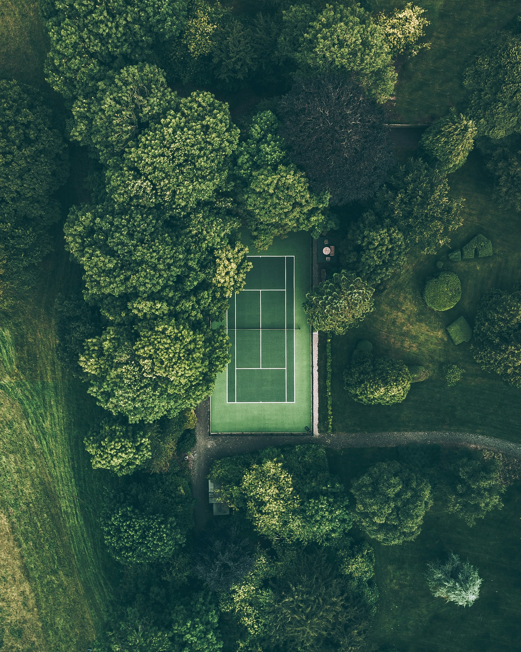 Grüner Tennisplatz zwischen Bäumen aus der Vogelperspektive